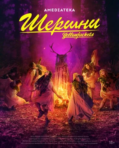 Шершни постер